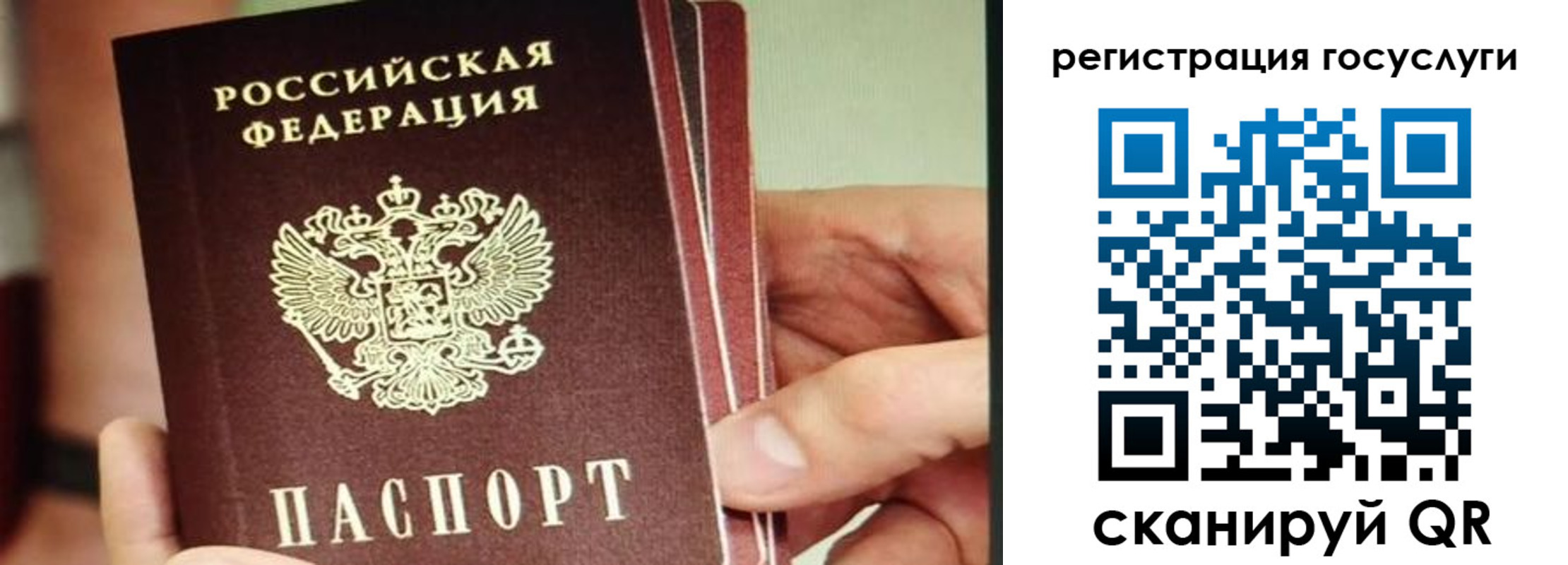 временная регистрация собственник в Коле